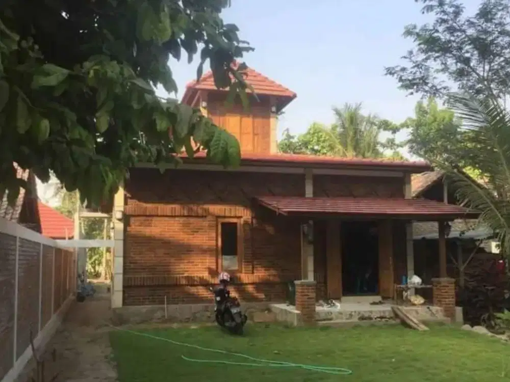 Rumah Villa disewakan dengan Pohon Buah Jalan Bakulan Kretek Patalan Bantul