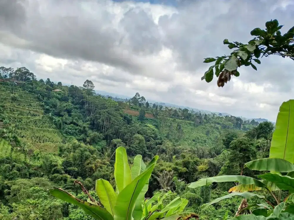 Dijual Lahan Kebun Lokasi Strategis Cocok untuk Villa/Investasi