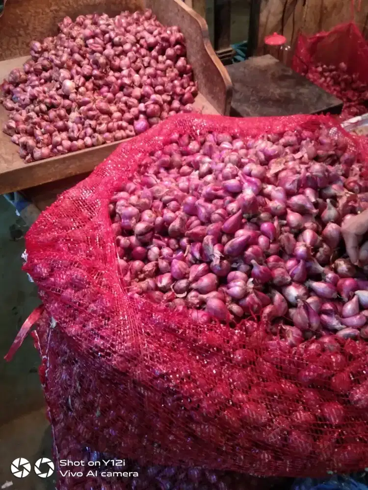 Bawang merah brebes asli