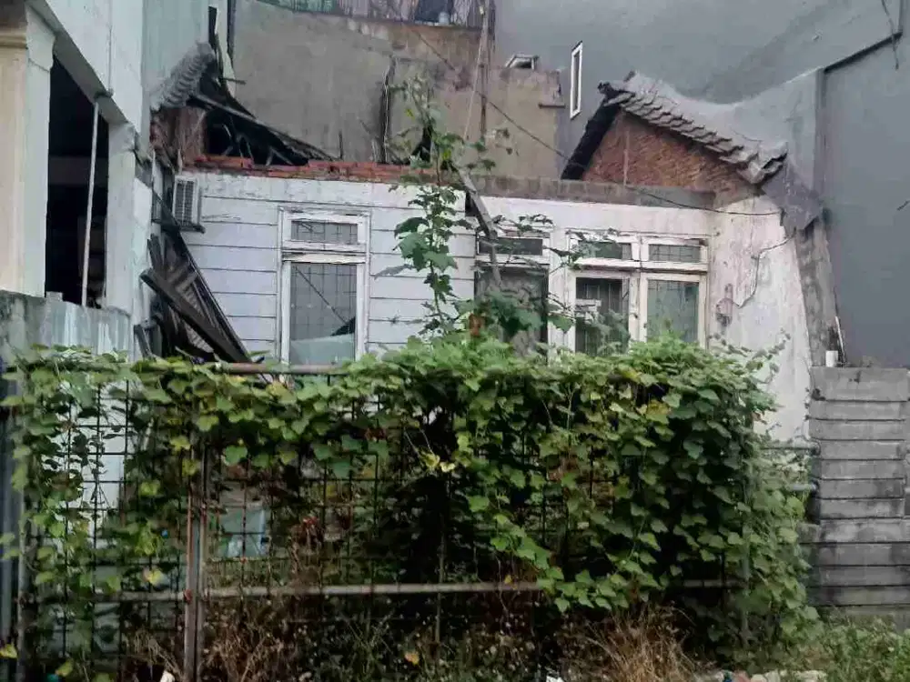 Jual Rumah tua cuma hitung harga tanah saja kopyor timur kelapa gading