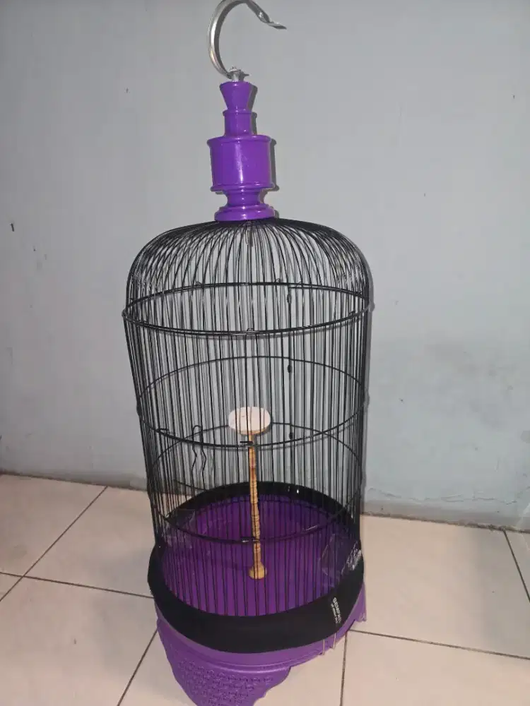 kandang sangkar branjangan