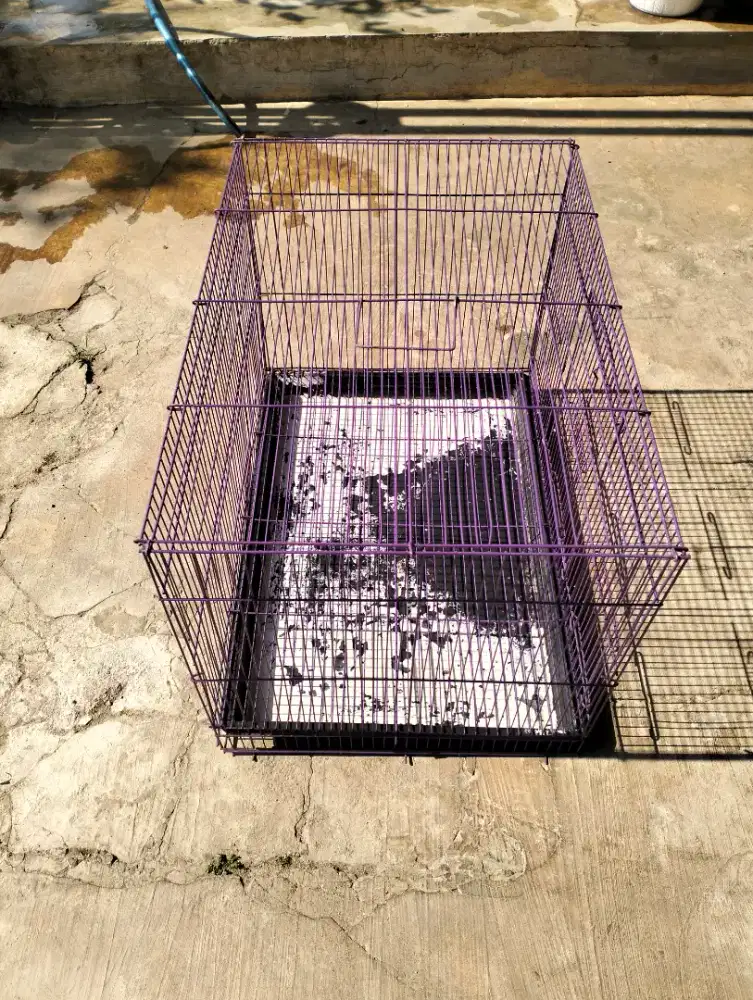 Kandang kotak masih bagus
