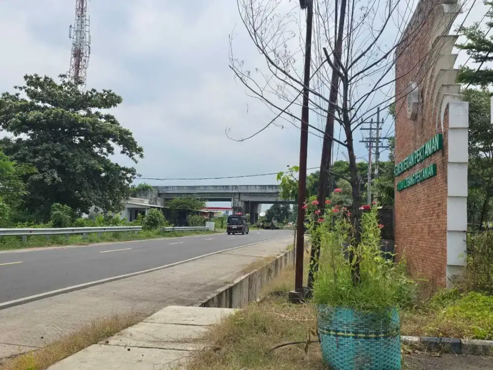 Dijual Tanah Raya Muneng Probolinggo