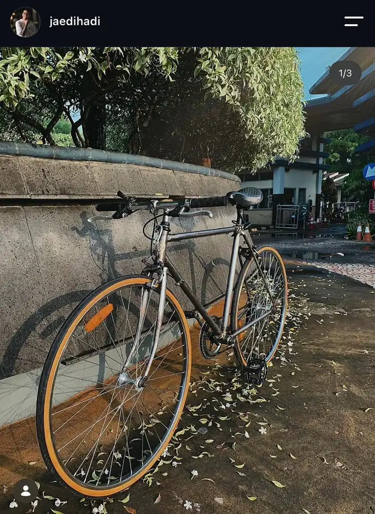 Fujiwara Oversize26 & Roadbike Parrot