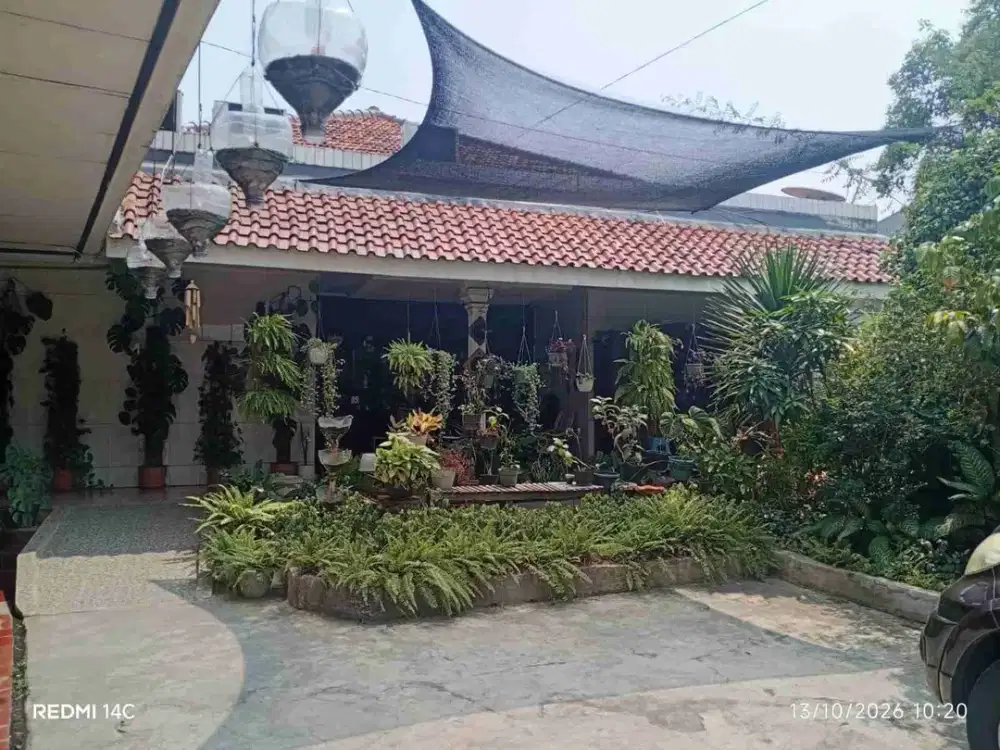 Dijual atau Disewakan Rumah Asri Cocok Untuk Usaha Resto, kantor, kos-kosan dan lainnya di Jalan Pondok Gede Pinang Ranti Jakarta Timur