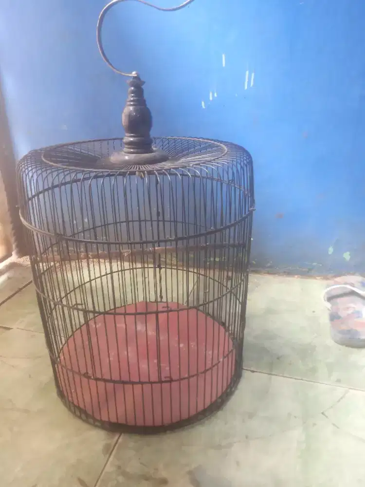 Kandang besi Lovebird