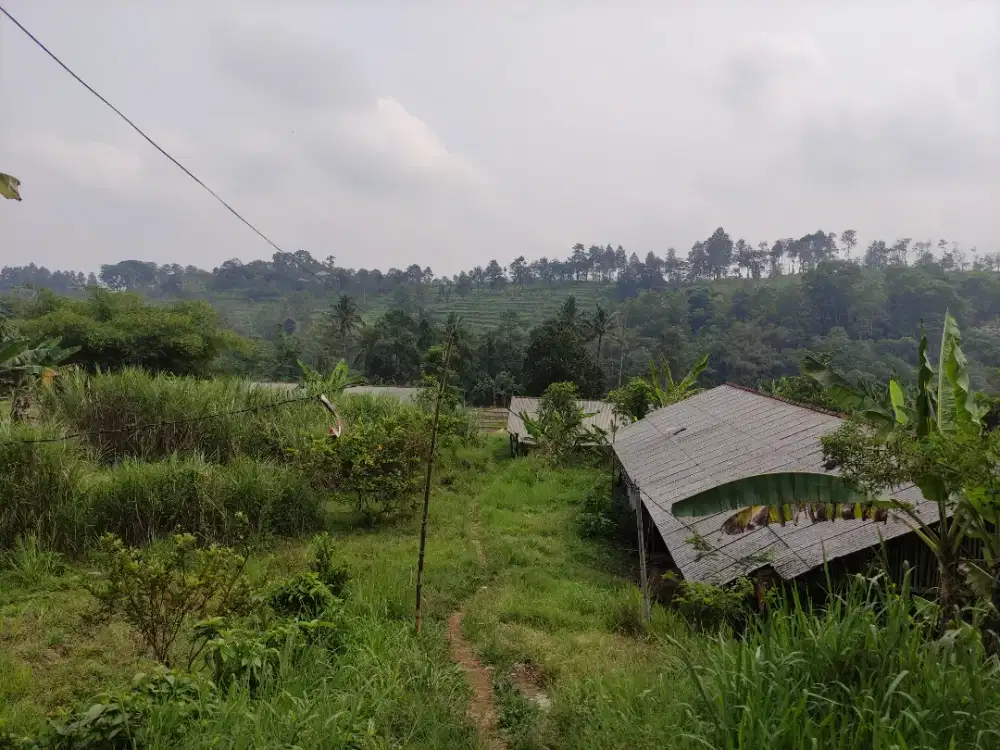 DIJUAL TANAH KEBUN DAN SAWAH