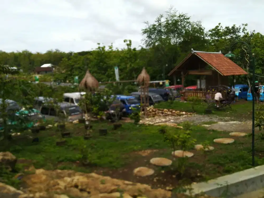 Tanah Bonus Bangunan di Tepi Jalan Provinsi Karangmojo Gunungkidul