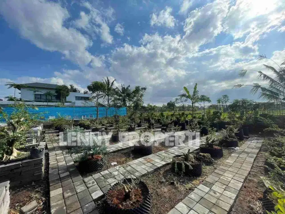 land for Sale Freehold 11 Are near Purnama  Beach