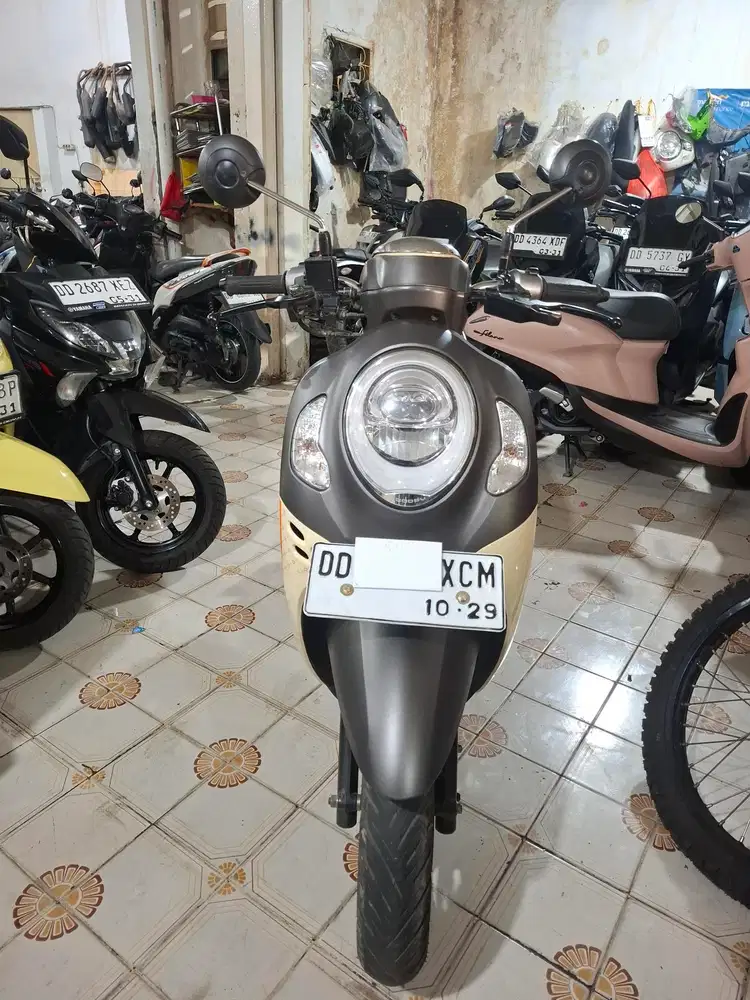 Honda Scoopy 110cc 2024 Cokelat XCM