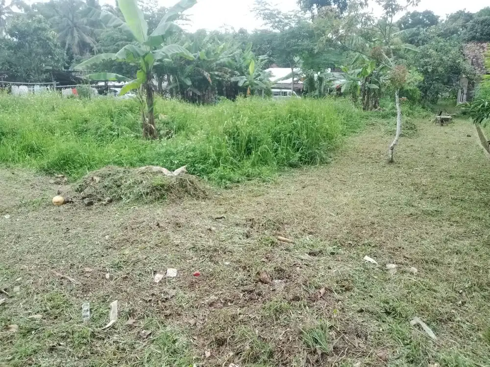 Dijual Tanah dekat RS. HERMINA Blotongan
