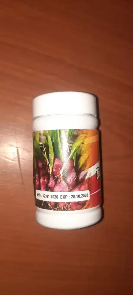 Jual kapsul bawang dayak