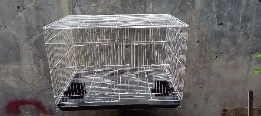 Kandang burung kacer