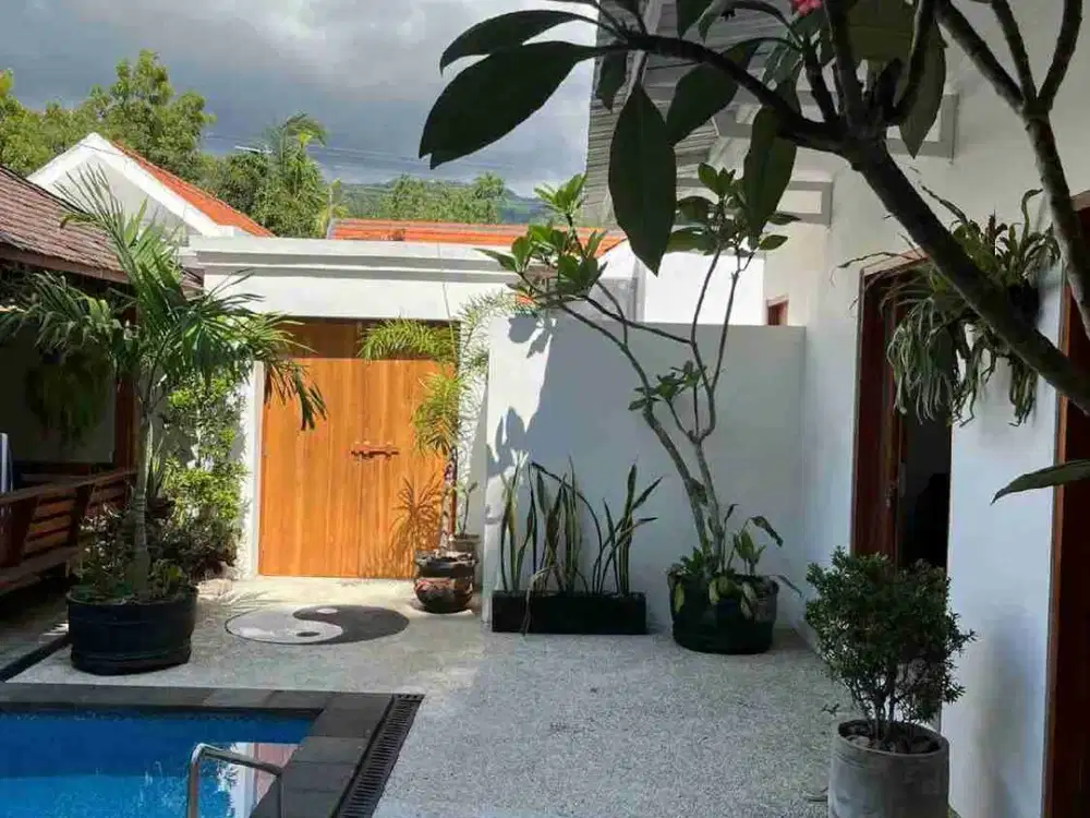 Villa Pribadi Dengan 3 Kamar Tidur & Kolam Renang Di Lovina
