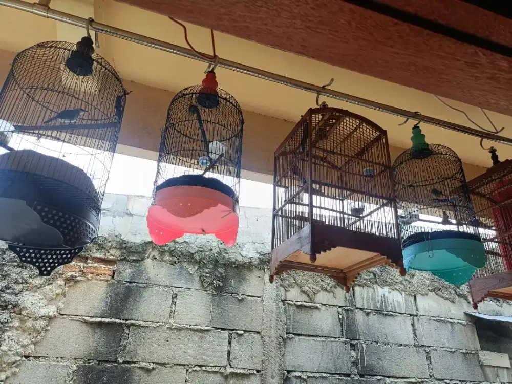 Jual sangkar burung
