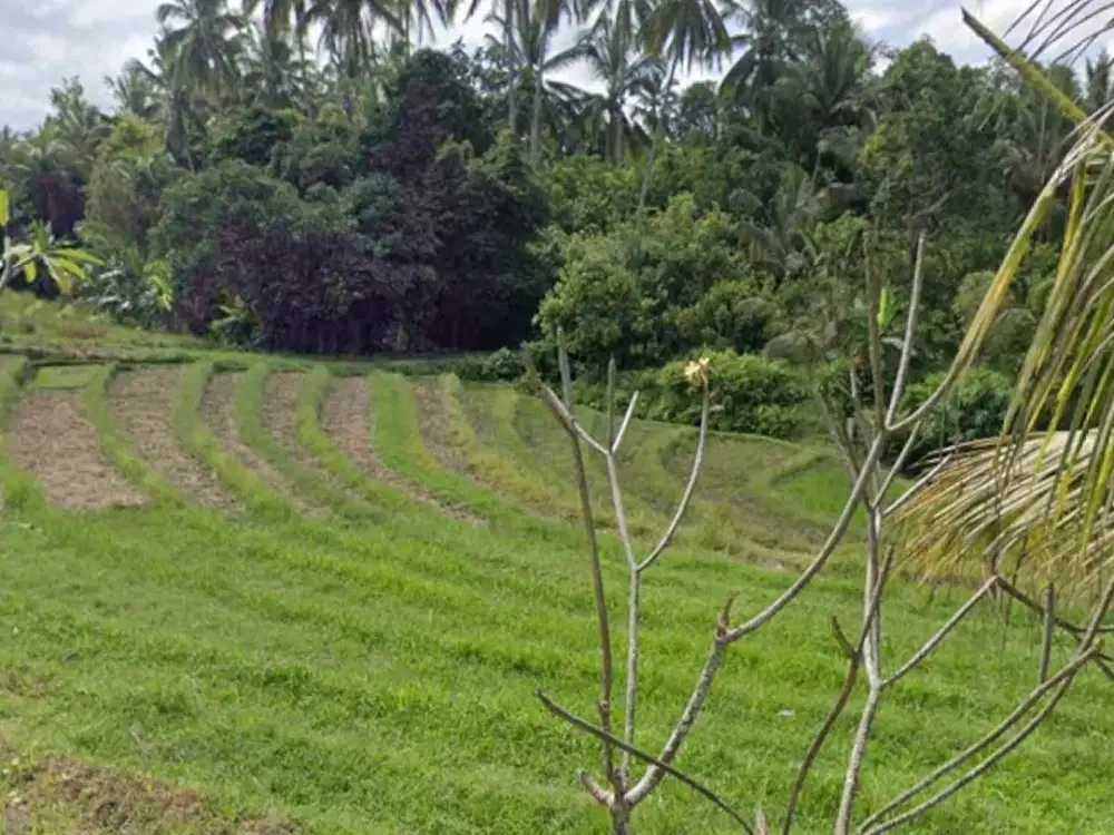 Dijual Tanah Sawah Murah dengan View Gunung