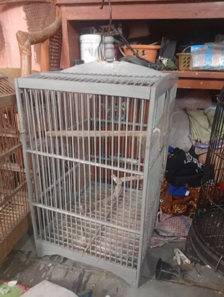 Jual Murah Sangkar [Jenis: sangkar burung kenari]