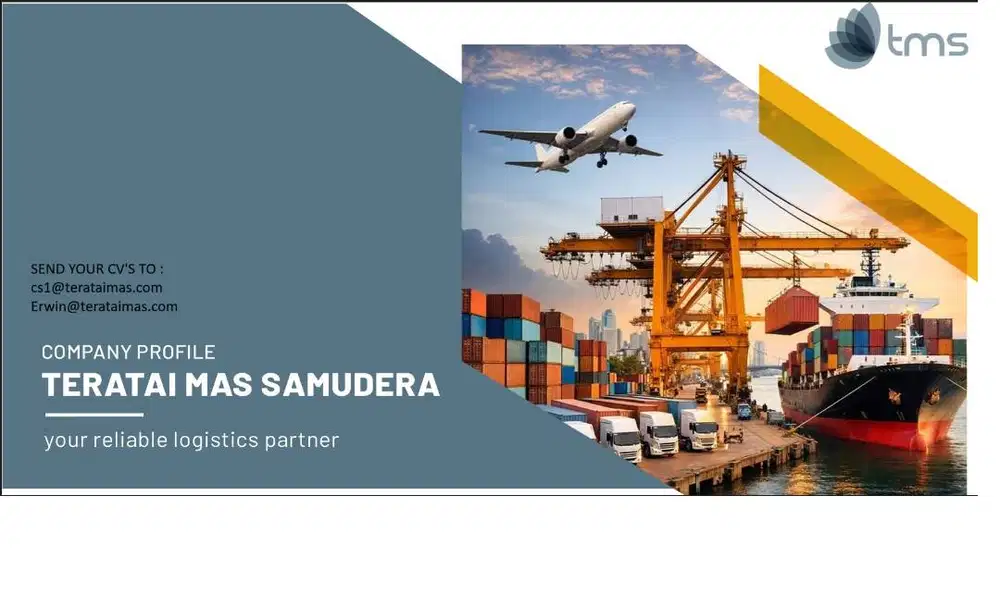 Looking for Export/Import Customer Service in Logistics Field