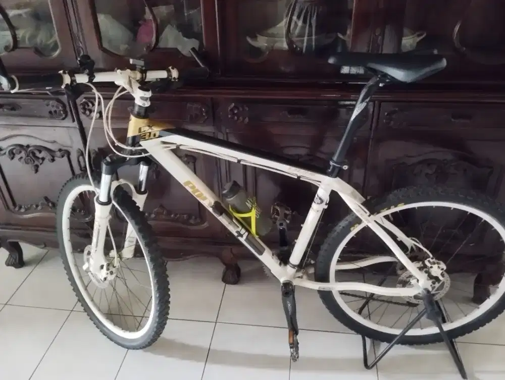 Polygon Cozmic CX 3.0