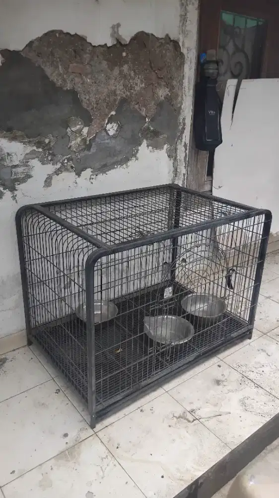 Kandang Anjing atau Kucing