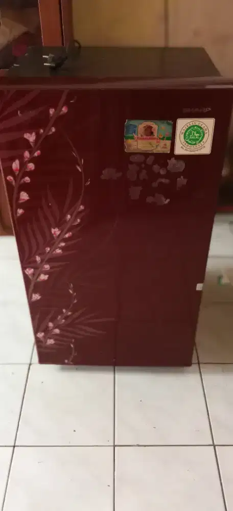 Kulkas satu pintu