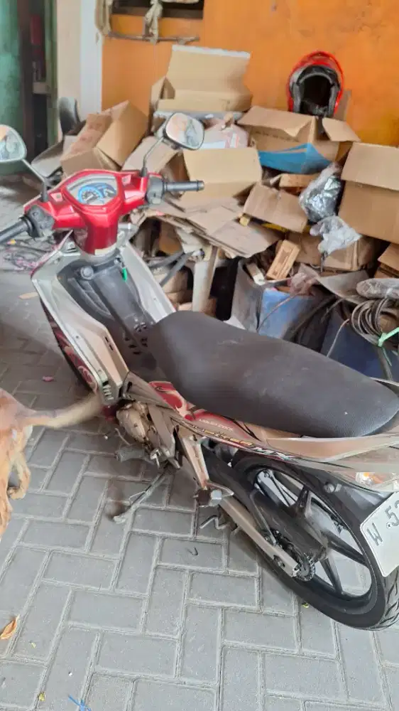 Yupiter MX 2009