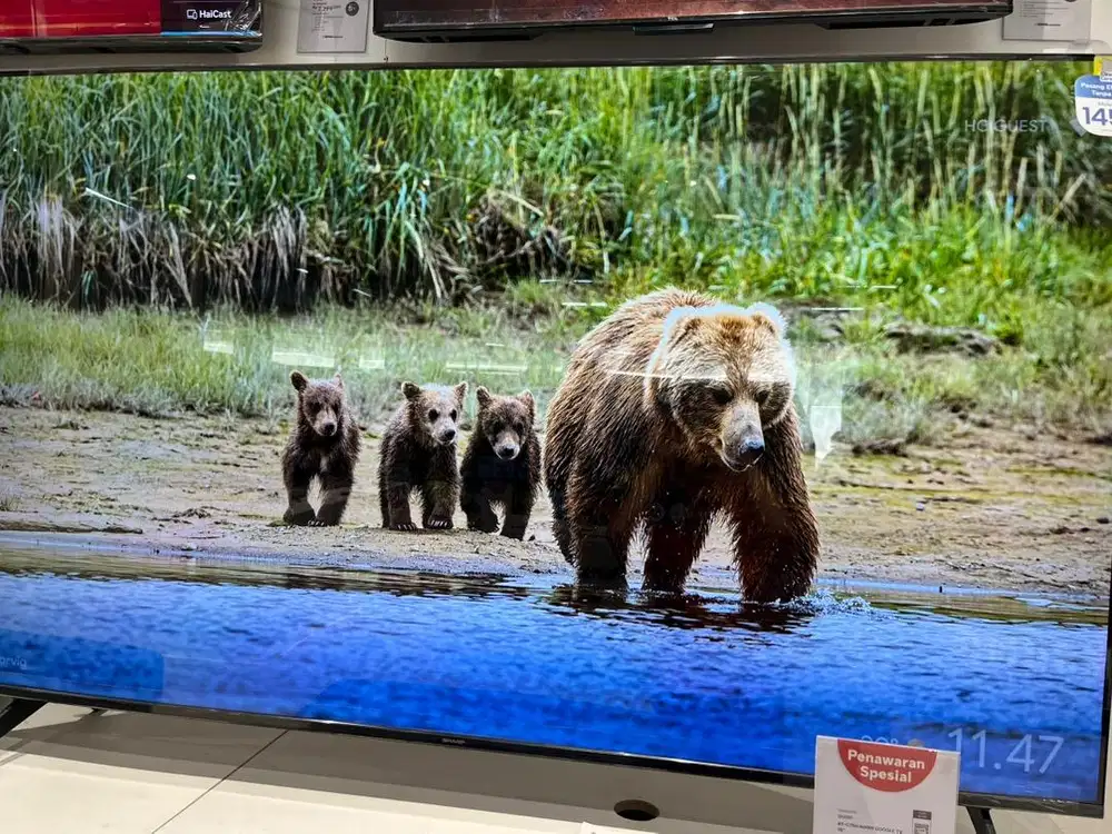 kredit TV SHARP 75inch