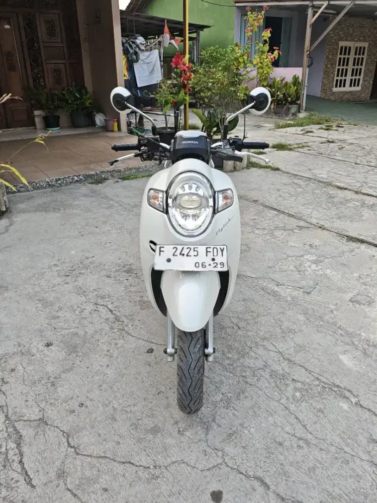 @Big sale Honda Scoopy Stylish