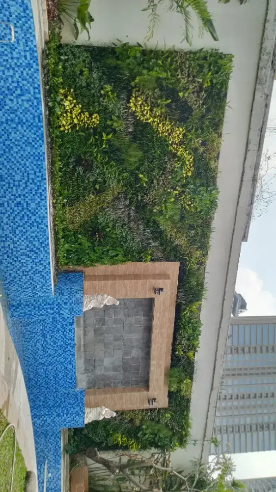 jasa taman vertikal garden