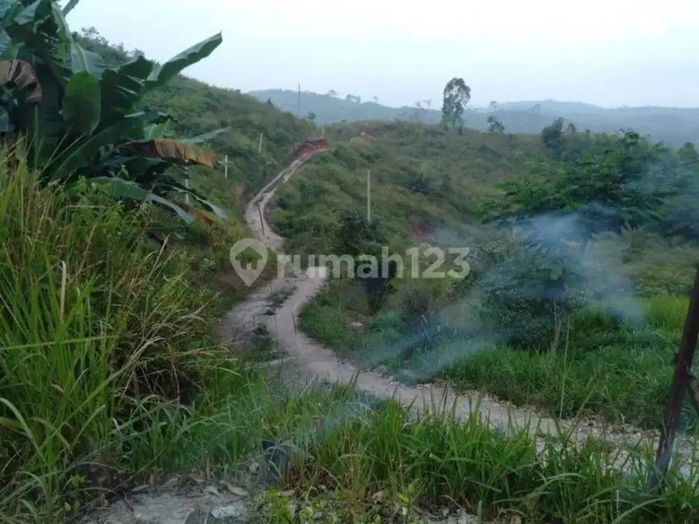 Tanah Dan Kebun 128.000m2 di Sukanagara, Gunung Sari, Cianjur #1150