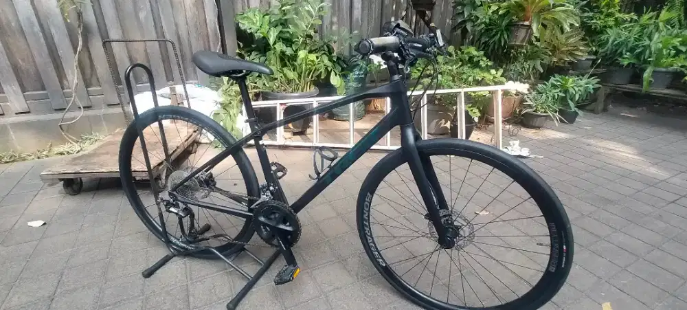 sepeda trek fx6  oclv carbon