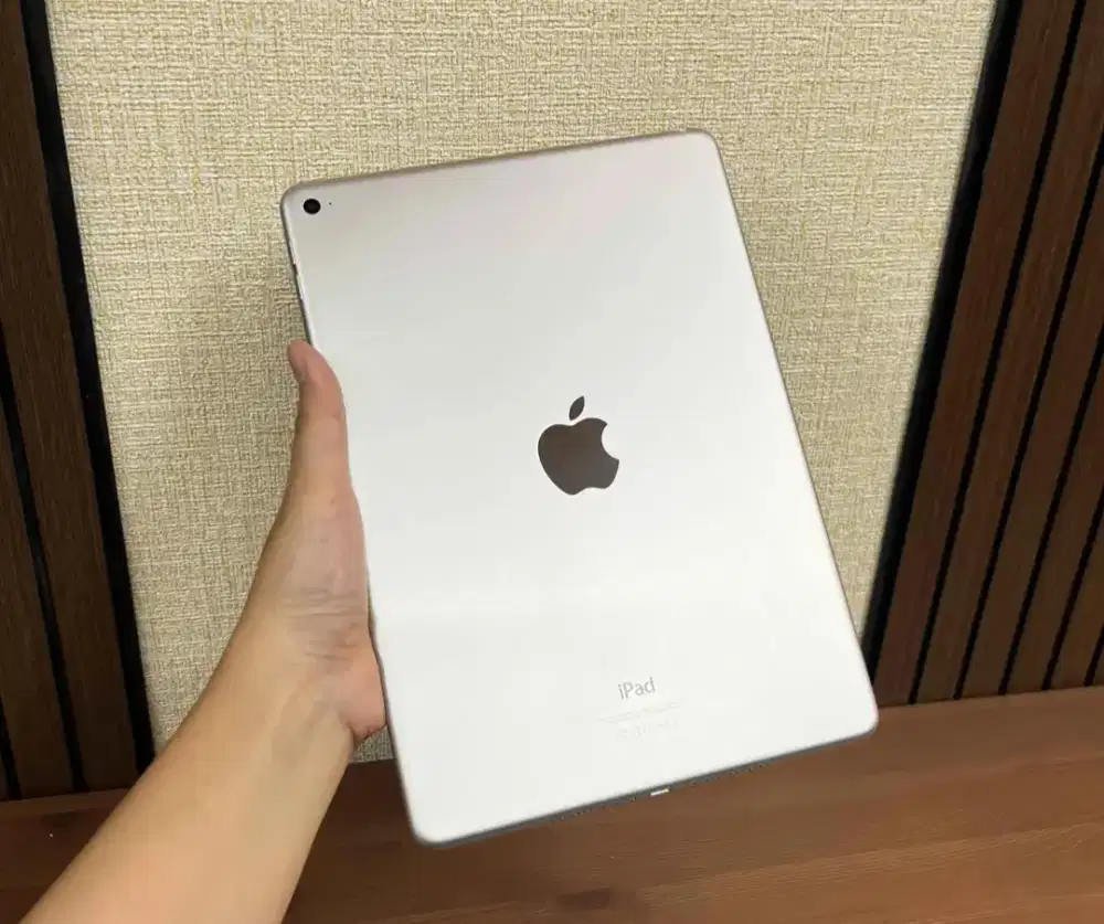 Ipad air 2 wifi only