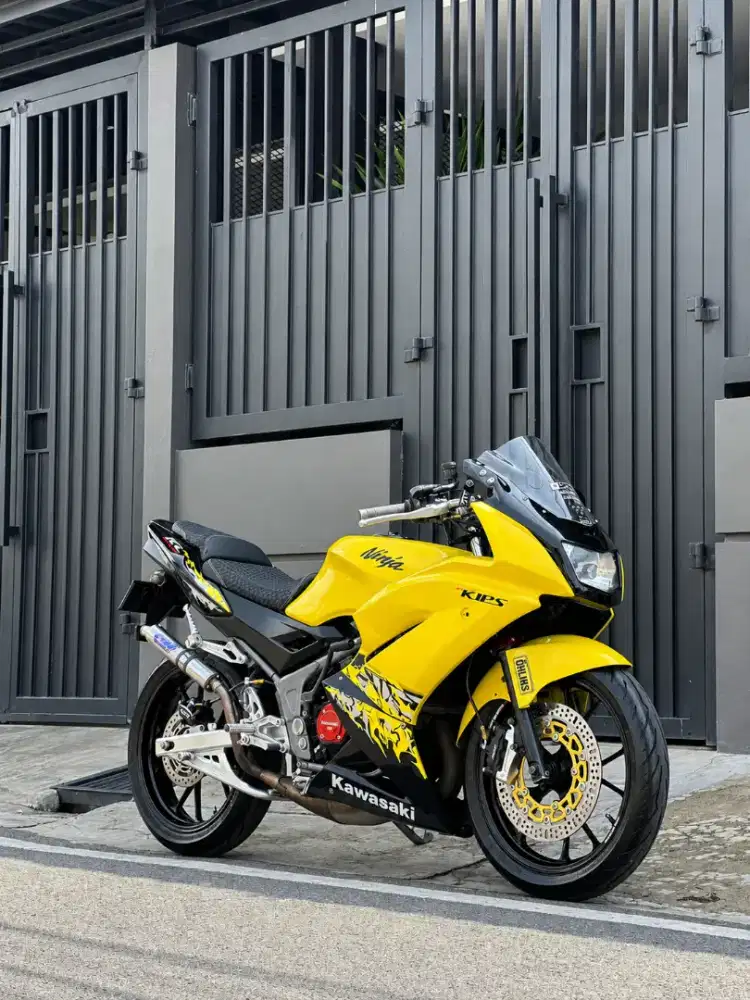 Kawasaki Ninja 150RR 2013