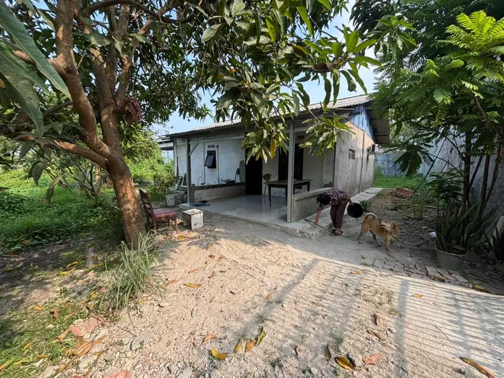 Tanah dijual, Ds Karang Asih, Cikarang Utara