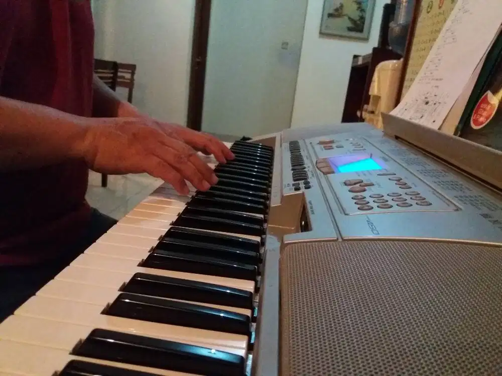 Les Privat keyboard, organ, piano elektrik