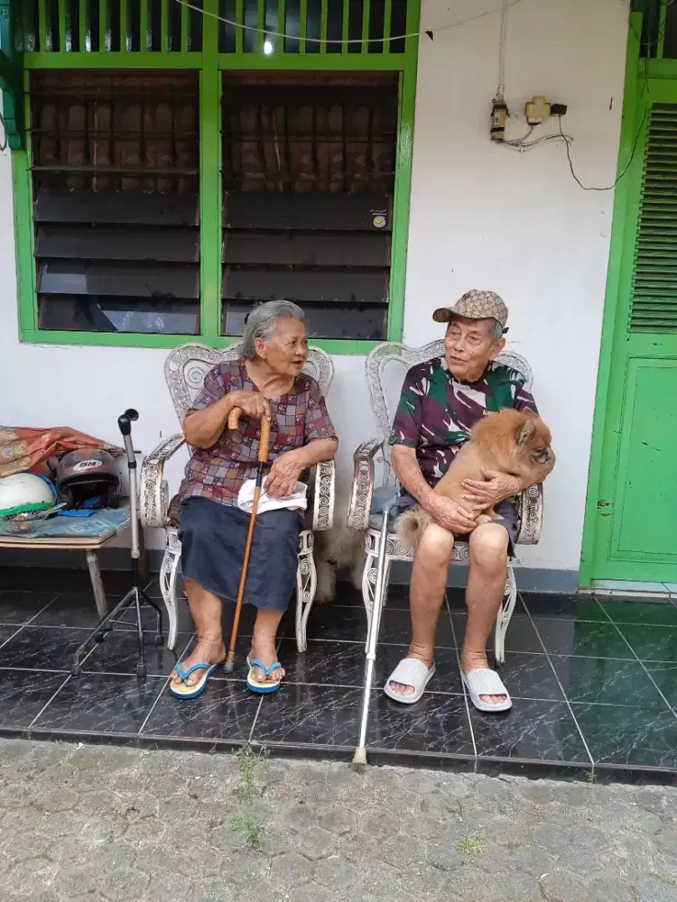 Cari pekerjaan sebagai perawat lansia atau orang sakit