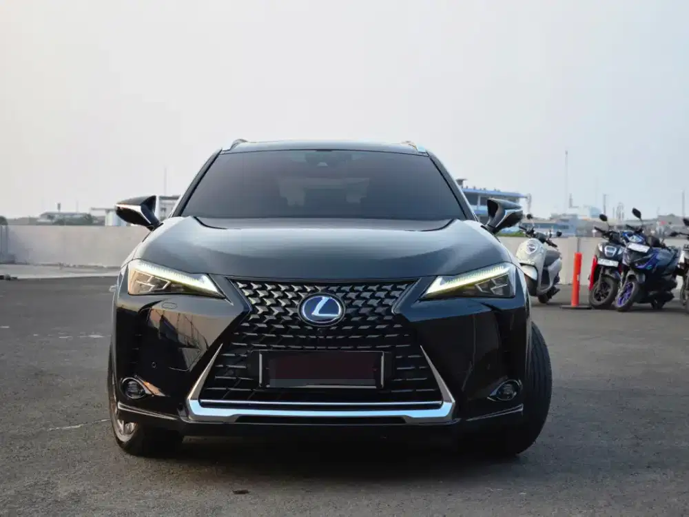 Lexus UX300e 2022 Antik KM20rb Record