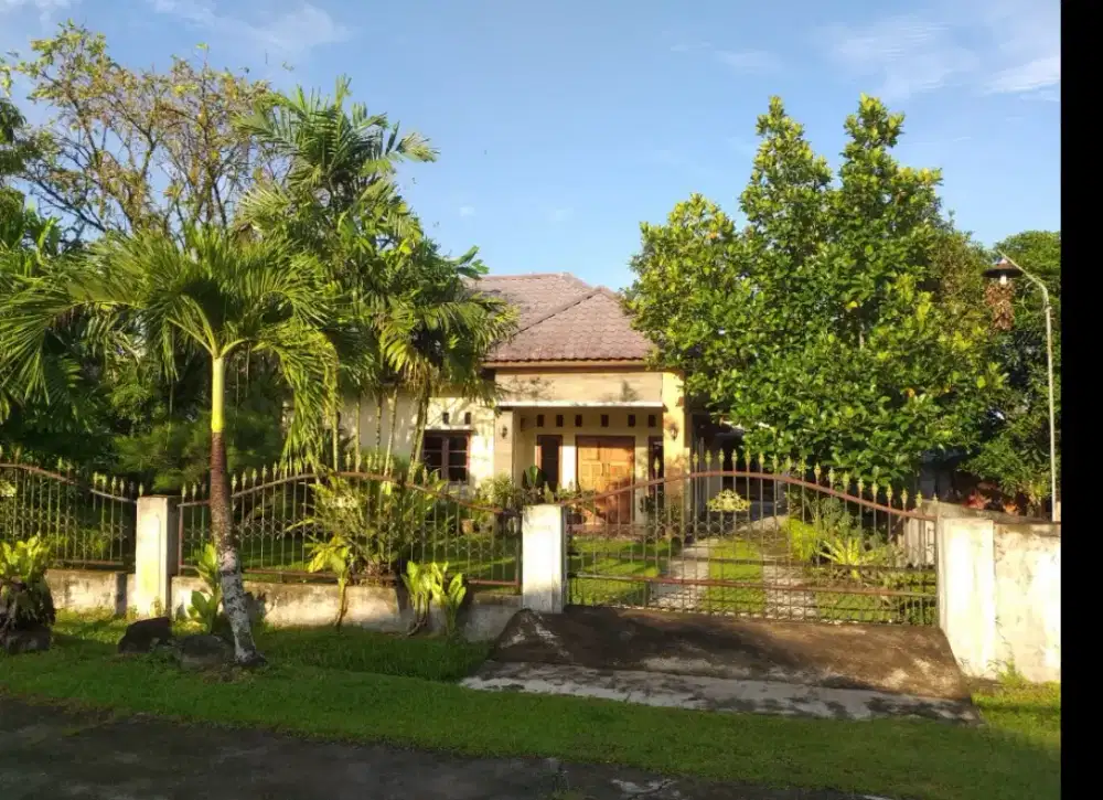 Rumah dijual cepat - murah