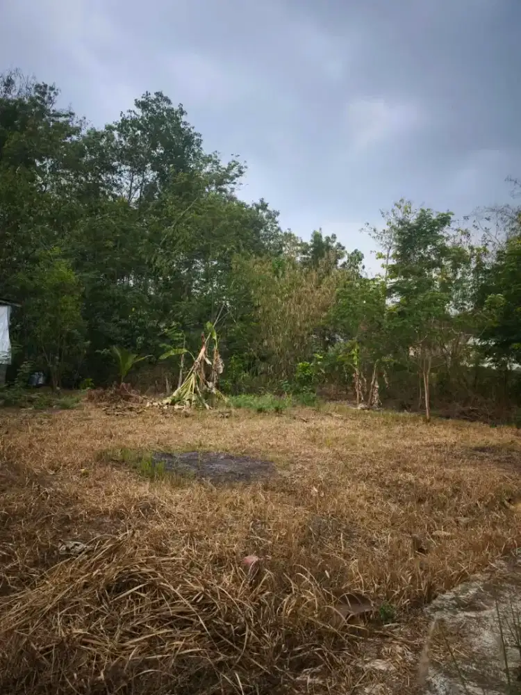 Dijual Tanah Gaum-Tasikmadu