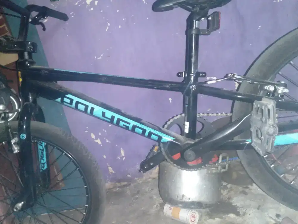 Polygon bmx rogue