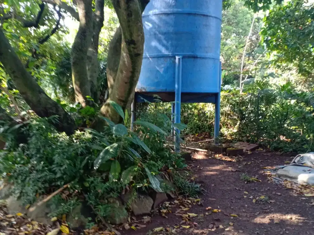 Lahan Potensial untuk Investasi Kebun Buah Cimanggis, Depok