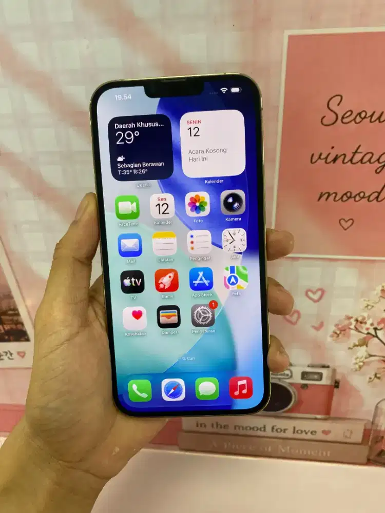 iPhone 13 Promax 128GB

Resmi iBox