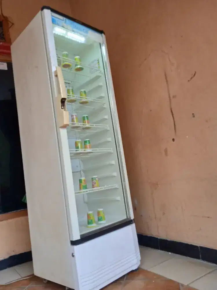 Showcase polytron jumbo mulus dingin banget