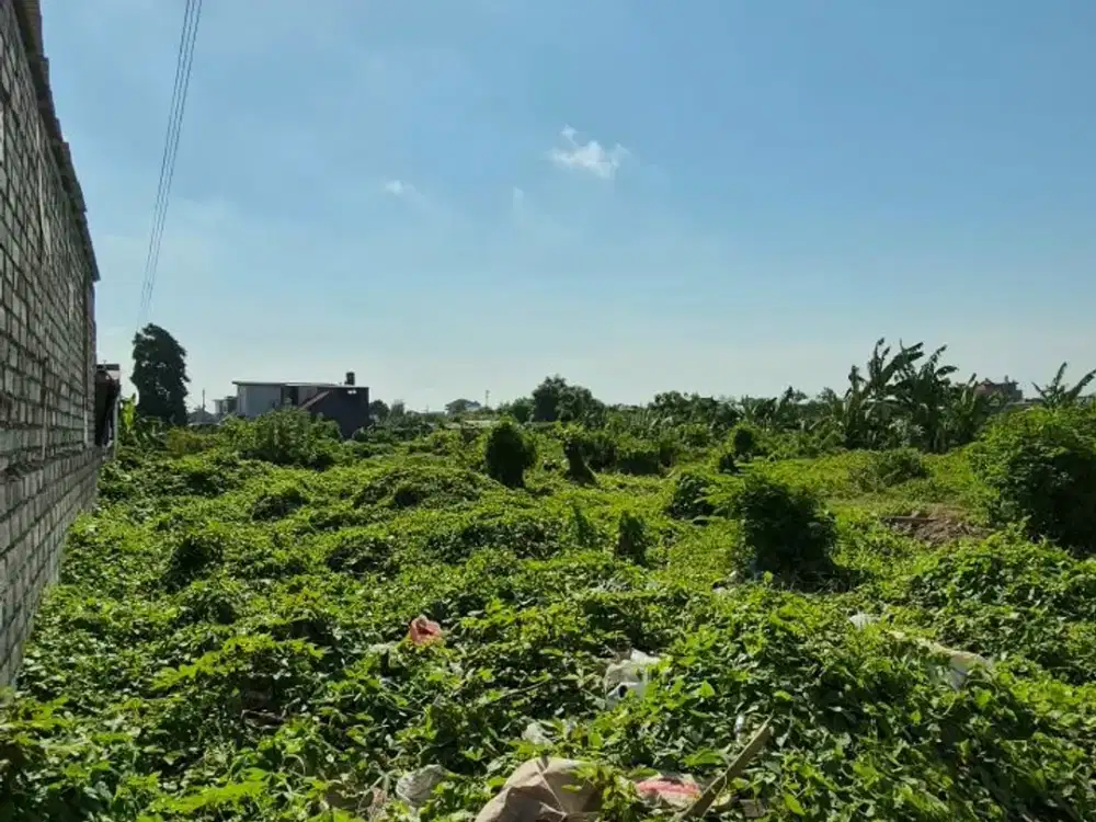 JUAL TANAH LANGKA SANUR