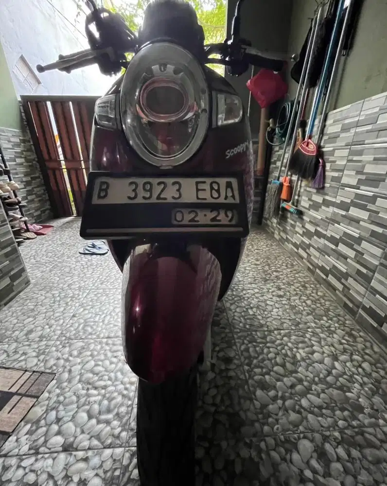Scoopy Donat 2019