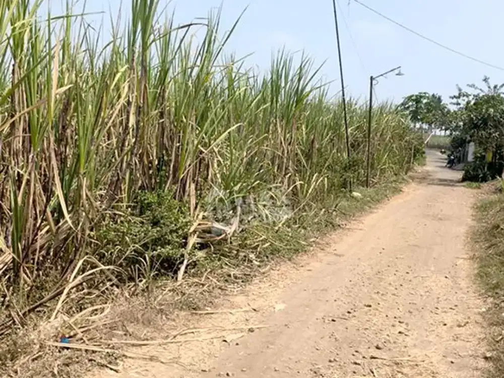 Tanah Zona Kuning Luas 2583 Cocok Untuk Komersial di Kepanjen Malang
