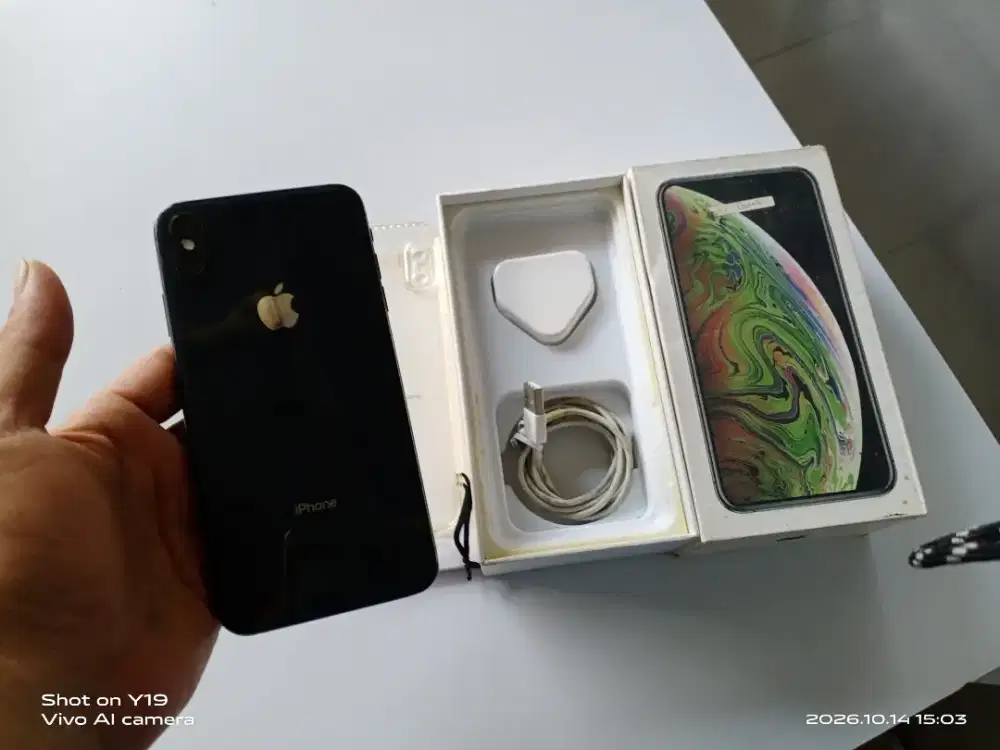 Xs max 256 inter