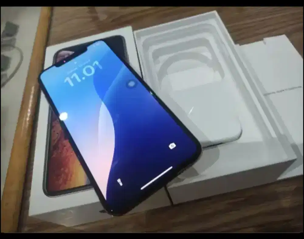 Xs max inter 256giga lengkap mulus no minus
