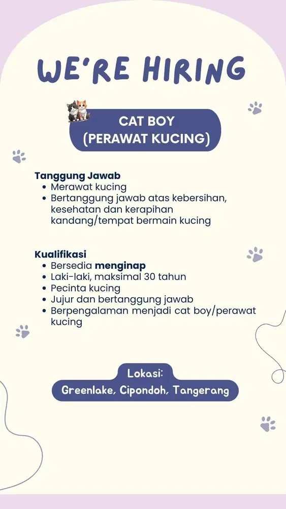 Lowongan Kerja Cat Boy (Perawat Kucing)