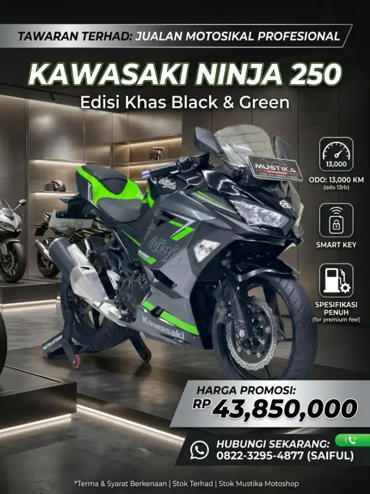 Perfect Condition!!Kawasaki Ninja 250 Smart key 2020 N Kota-Mustika